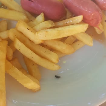 Jolly Tur Memnuniyetsizliği Ve Müşteriyle Dalga Geçer Gibi Sadece Özür!