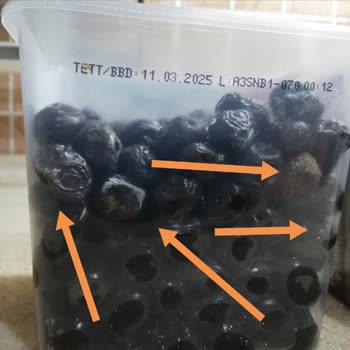 Tukaş Siyah Zeytin Ambalajında Küflenmiş