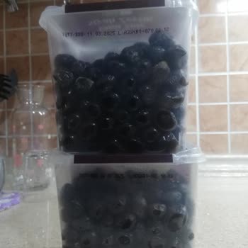 Tukaş Siyah Zeytin Ambalajında Küflenmiş