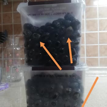 A101 Den Aldığım, Tukaş XL Siyah Zeytin Küflü Çıktı.