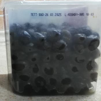 A101 Den Aldığım, Tukaş XL Siyah Zeytin Küflü Çıktı.