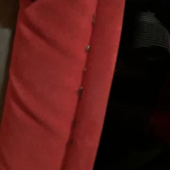 Mersin Nur Turizm Otobüs Firmasında Böcek Kabusu