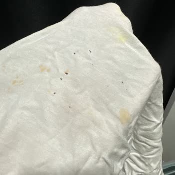 Arçelik Makinem Elbise Yırtıyor Ve Sarı Lekeler Atıyor