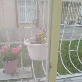 Emniyet Genel Müdürlüğü Üst Kat Komşu Şikayeti