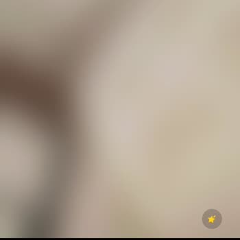 Xiaomi Redmi Note 10 Pro Ön Kamera Çalışmıyor