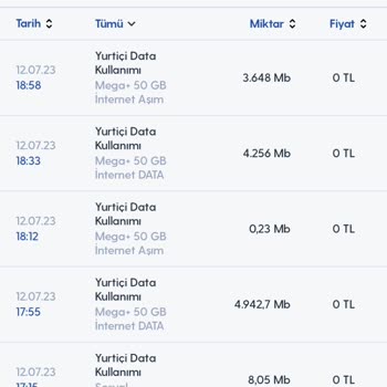 Turkcell Faturalı Hat İnternet Harcaması