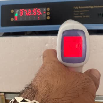 Beren Kuluçka Sorun Yaşama