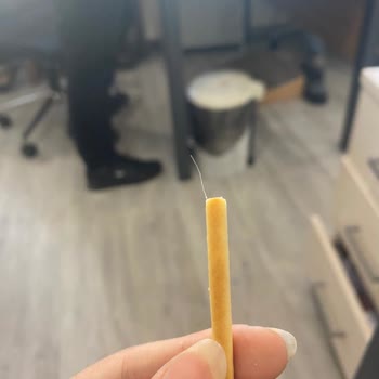 Eti Crax Çubuk İçinden Çıkan İp