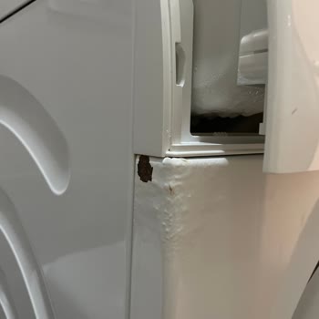 Siemens Ev Aletleri 2 Yılda Paslanan Çamaşır Makinesi