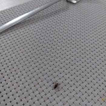 Ganita Holiday Village Hijyen Korkusu | Etstur İptal Etmiyor