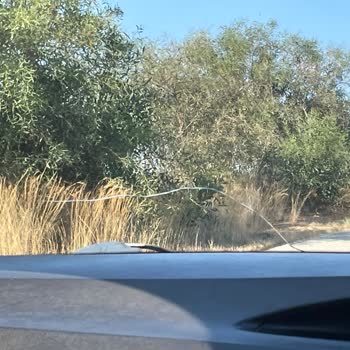 Yolcu360 Can Güvenliğimizi Tehlikeye Atacak Derecede Kötü Araç