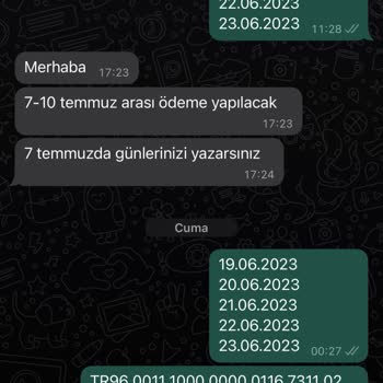 Sertrans Lojistik Palmiye Taşeron Firması