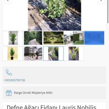 Yalova Su Fidan Görselle Gelen Ürün Arasında Ki Fark Ve Temsili Olduğu Bildirilmemiş