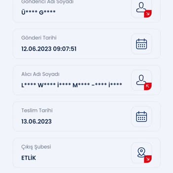 LCW Burattı Marka Gömlek