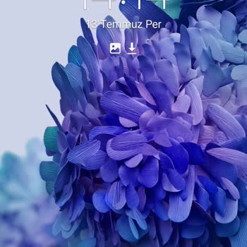 Samsung S20FE Şarj Problemi
