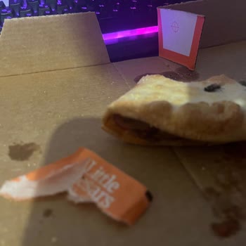 Little Caesars Pizza Served with an Uninvited Guest