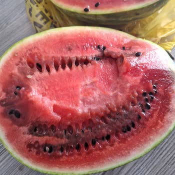 Şok Marketler Bozuk Mala İade Vermediler!