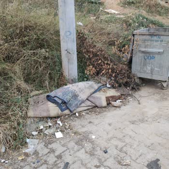 Darıca Belediyesi Sokak Temizliğinin Yapılmaması