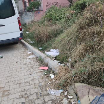 Darıca Belediyesi Sokak Temizliğinin Yapılmaması
