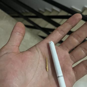 Parliament Sigaradan Çıkan Odun Parçaları