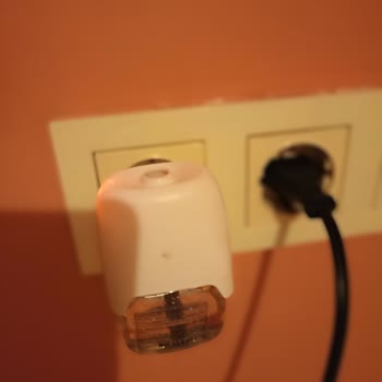 Raid Sivrisinek Likit Asla İşe Yaramıyor