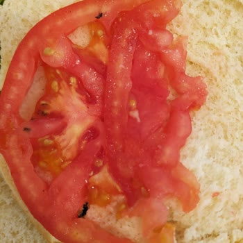 Atlas Beach Hotel Temizlik Ve Hijyen Sorunu