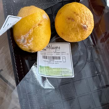 Yemeksepeti Market Küflü Ürün Gönderimi Yaptı