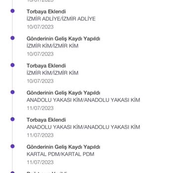 PTT Kargo Teslim Edildi Gözüküp Gelmeyen Kargo