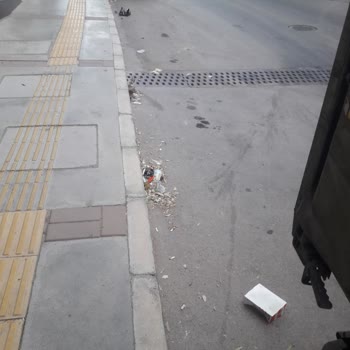 Buca Belediyesi Tınaztepe Her Yer Hayvan Dışkısı Ve Çöp İçinde