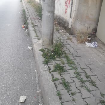 Buca Belediyesi Tınaztepe Her Yer Hayvan Dışkısı Ve Çöp İçinde