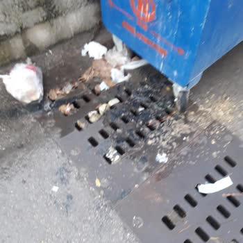 Buca Belediyesi Tınaztepe Her Yer Hayvan Dışkısı Ve Çöp İçinde