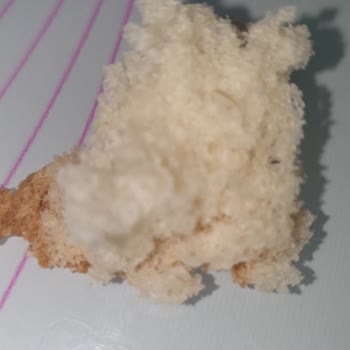 Erciyes Unlu Mamülleri Poğaçadan Kıl Çıktı