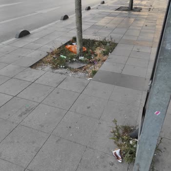 Esenyurt Belediyesi Çözüm Gerek