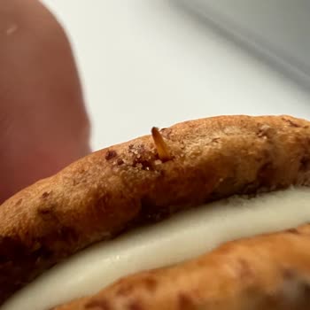 Ülker Labneli Altınbaşak Kırık Kürdan Parçası