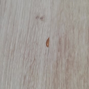 Seymen Parke Kusurlu Ürün Mağduruyum