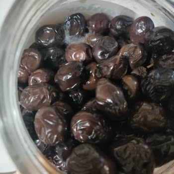 Kaanlar Küflenmiş Ve Bozulmuş Zeytin