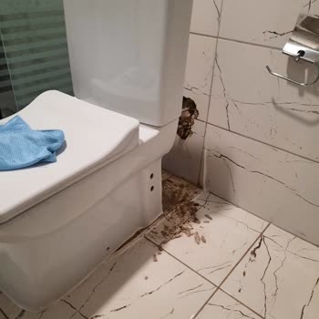 TOKİ Yönetimi Ve Personelleri