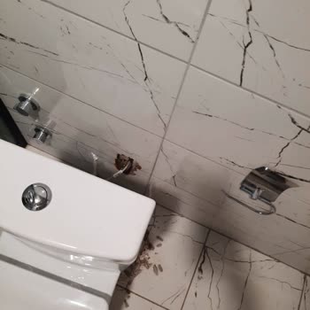 TOKİ Yönetimi Ve Personelleri