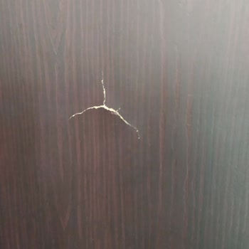 Nursoylar Nakliyat Mobilyalarının Kırık Gelmesi