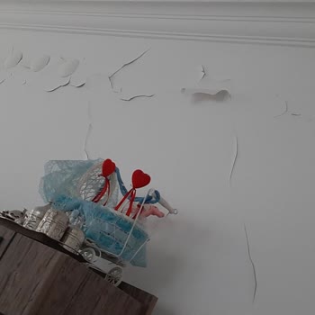 DASK (Doğal Afet Sigortaları Kurumu) Doğal Afet Sigortaları Kurumu -İtiraz