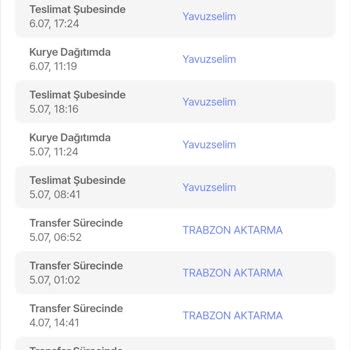 Sürat Kargo Firmasının Teslim Etmediği Sipariş