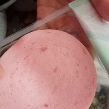 Pınar Aç Bitir Salamdan Hem Kıl Çıktı Hem Kokuyor!