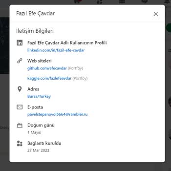 Linkedin Hesabım Başkasında Ve E Postası Değiştirilmiş