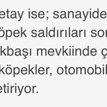Kastamonu Açıksöz Gazetesi İnsanlar Hayvanlara Karşı Kışkırtılıyor, Böyle Habercilik Olmaz!