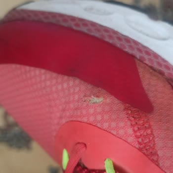 Under Armour Ayakkabı Üst Kısmında Yırtık Kullanıcı Hatası Değildir.