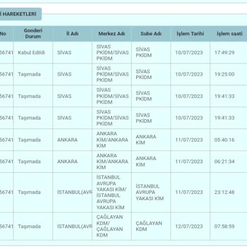 PTT Kargo Teslimat Süresi, Hareketsizlik