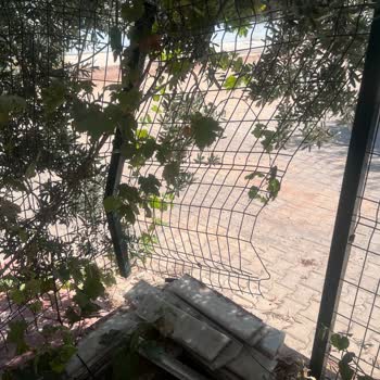 Didim Belediyesi Belediye Yanlışlıkla Bahçemize Zarar Vermiş