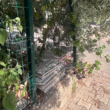 Didim Belediyesi Belediye Yanlışlıkla Bahçemize Zarar Vermiş