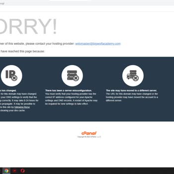 Big Wolf Academy Bwt Coin İle Giriş İşlem Yapılamaması