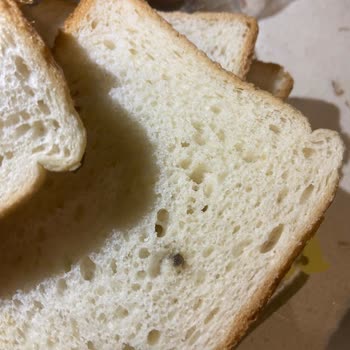Uno Ekmek Tost Ekmeğinde Siyah Noktalar